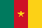 Flag of CAMEROON